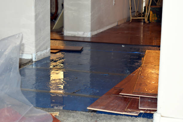 Professional Burst Pipe Cleanup technician working in Plainwell, MI